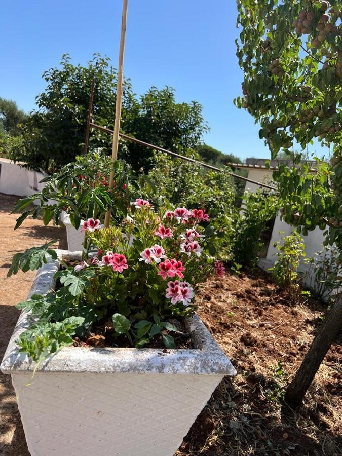 Trullo Antelmi Villa Ceglie Messapica Dış mekan fotoğraf