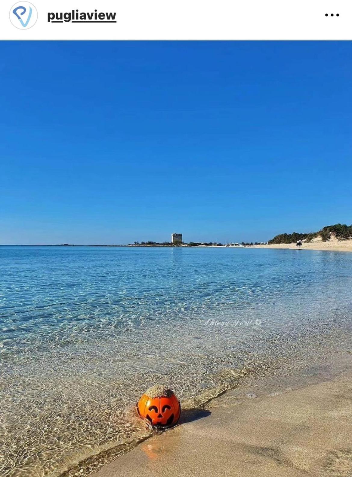 Trullo Antelmi Villa Ceglie Messapica Dış mekan fotoğraf